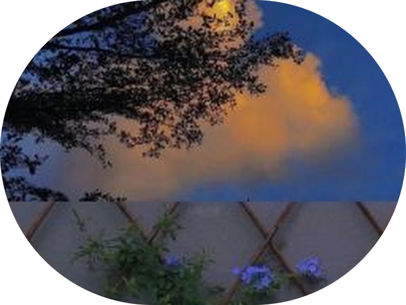 Foto 4 de Dentista 24 horas Consultório Dra Thalitta Fiamma