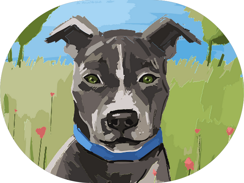 Foto 4 de Dentista 24 horas Odonto white