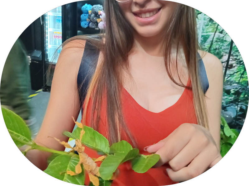 Foto 5 de Dentista 24h Bauru | AF Saúde Integrada | Dr. André Figadoli