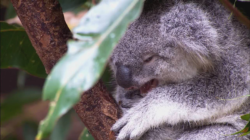 Foto 3 de Dentista 24horas