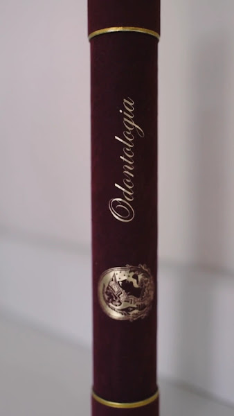 Foto 3 de Dentista Carolina Justino