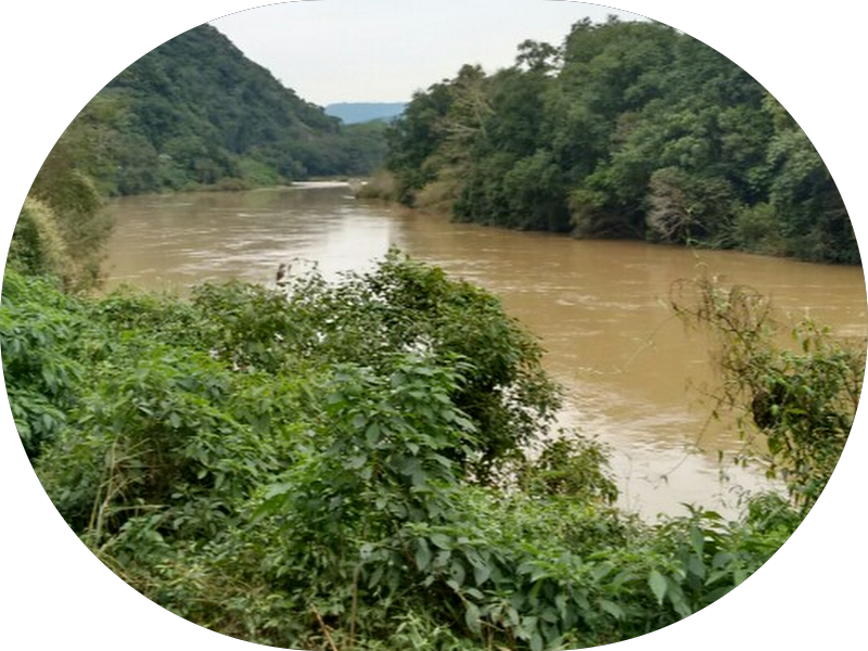 Foto 4 de Dentista Curitiba Alethea Gradella Odontologia e Bem Estar