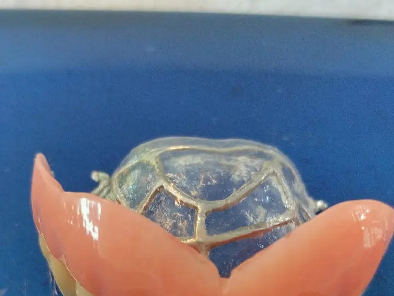 Foto 2 de Dentista do Povo