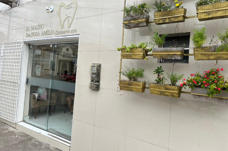 Foto 3 de Dentista - Dr.Mauro Cavalcanti & Dra.Rosa Amélia