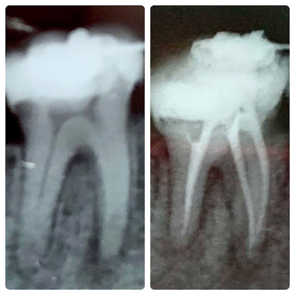 Foto 3 de Dentista Dr. Pedro Fortes