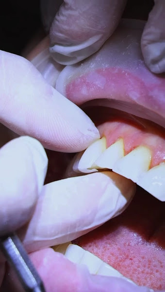 Foto 3 de Dentista Dra. Arielle Mello Odontologia Estética
