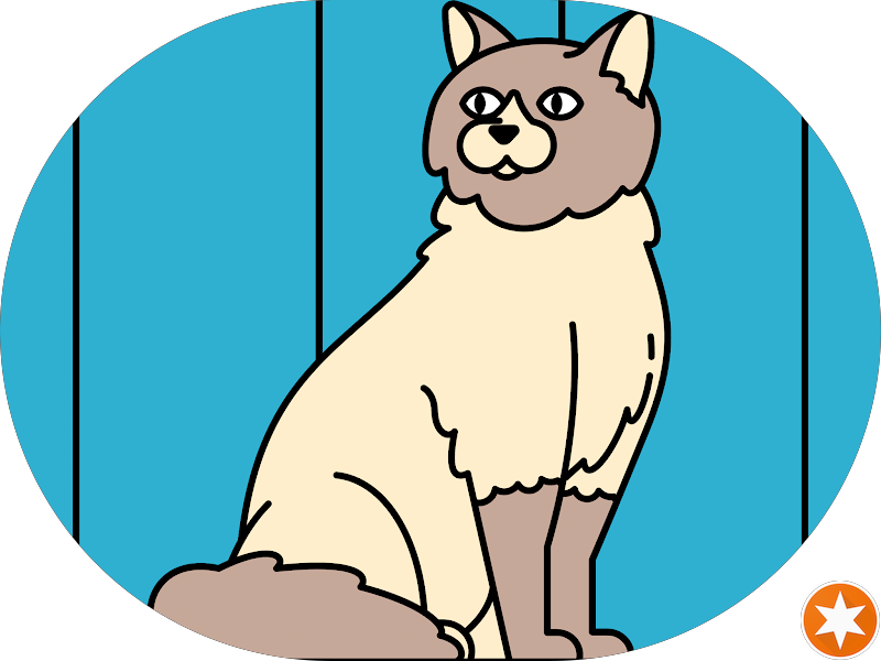 Foto 3 de Dentista Dra.Celia