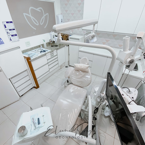 Foto 2 de Dentista | Dra Eliane Hiraga | Hiraga Odontologia