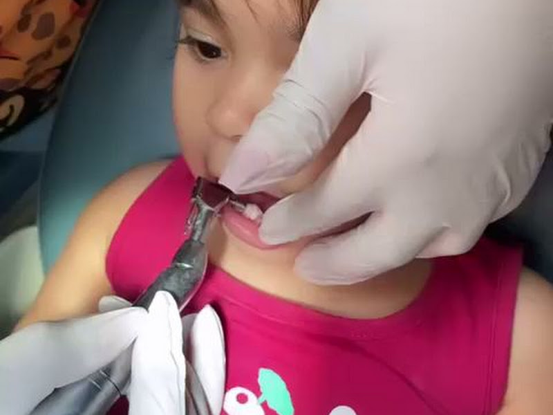 Foto 3 de Dentista - Dra. Fernanda Esteves