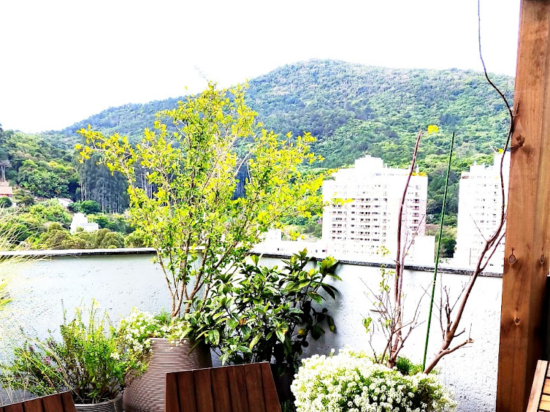 Foto 6 de Dentista- Dra Gabriela Camera