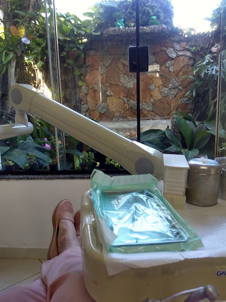 Foto 3 de Dentista Dra. Silvia Maria Blanco