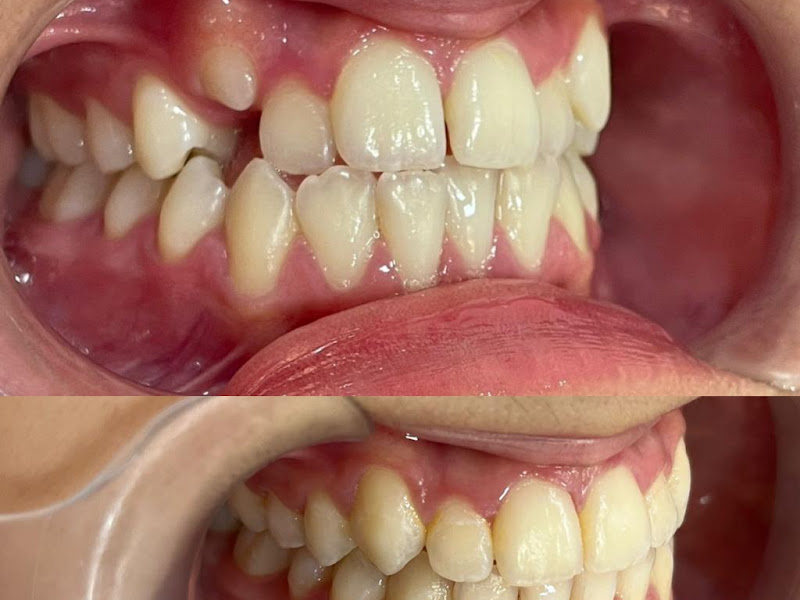 Foto 2 de Dentista e Estética | Dra. Eliane Dias Mangile