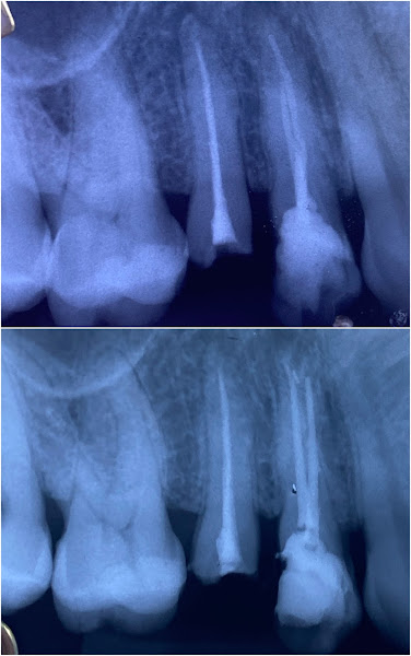 Foto 3 de Dentista em Bauru 24h - Dra Mirela Barros