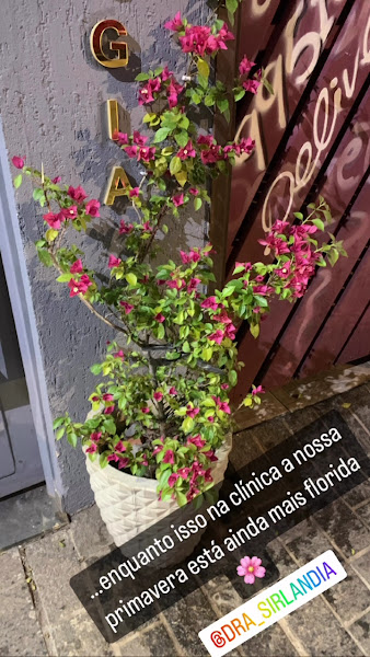 Foto 3 de Dentista em Itaquera | Dra. Sirlândia Souza