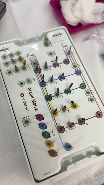 Foto 4 de Dentista em Recife - Sedação com nitroso - Implante - Dente Siso - Lorena Pinheiro