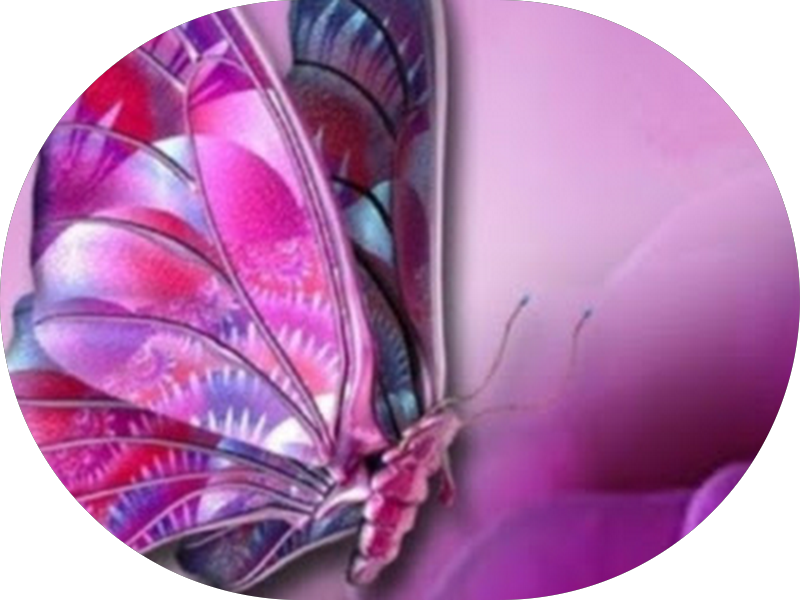 Foto 4 de Dentista em Santos | Lentes de Resina, Implantes e Harmonização | Dentalliz