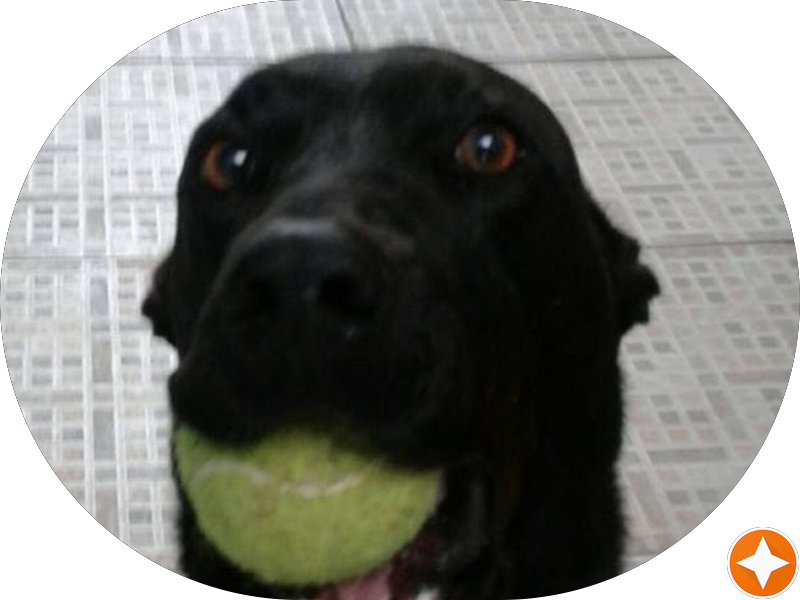 Foto 2 de Dentista Emergência Dr.Edison de A.Barbosa