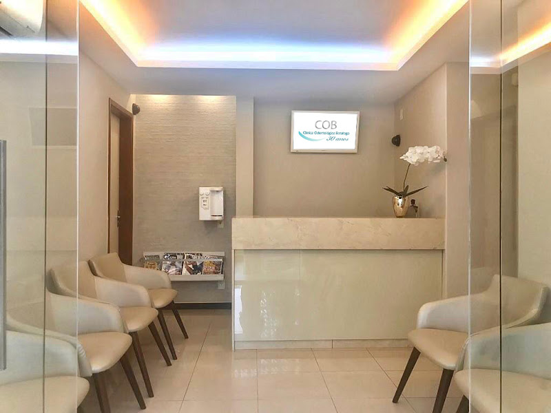 Foto 8 de Dentista Emergência Zona Sul RJ