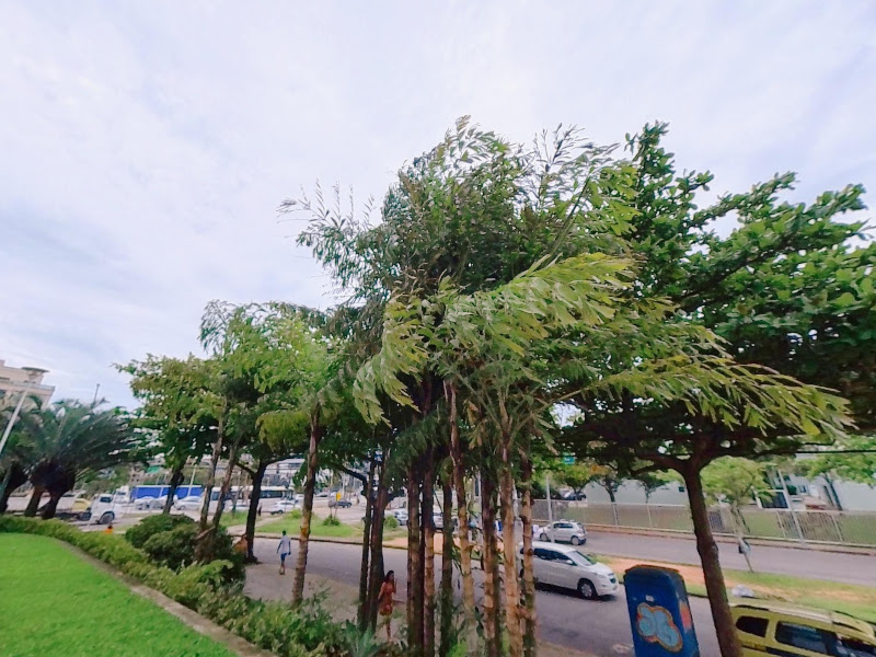 Foto 4 de Dentista Ferreira Pinto l Lentes em porcelanas na barra