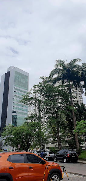 Foto 3 de Dentista Gabriela Ferreira