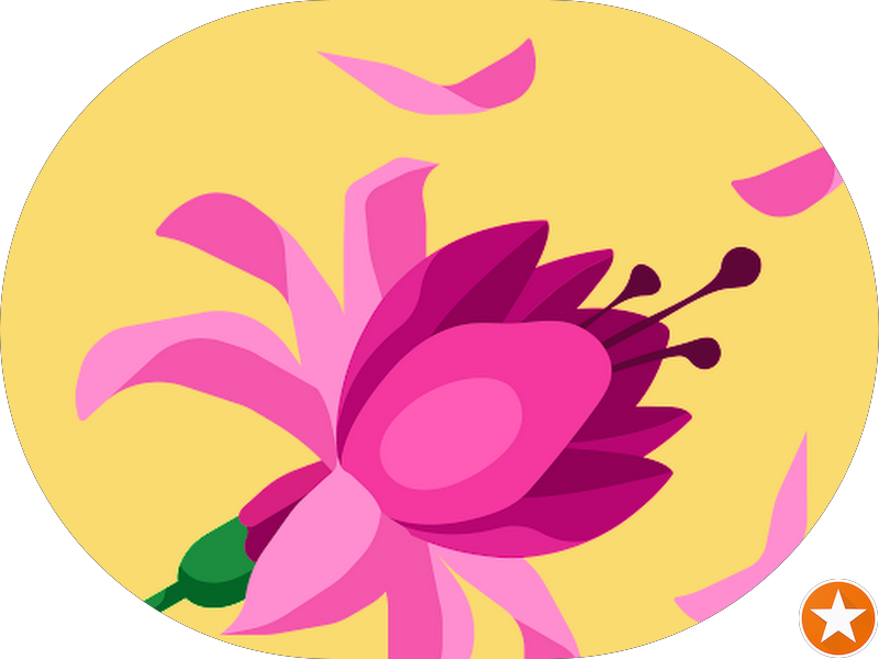 Foto 6 de Dentista Jardim Marajoara/SP - Larissa Farias