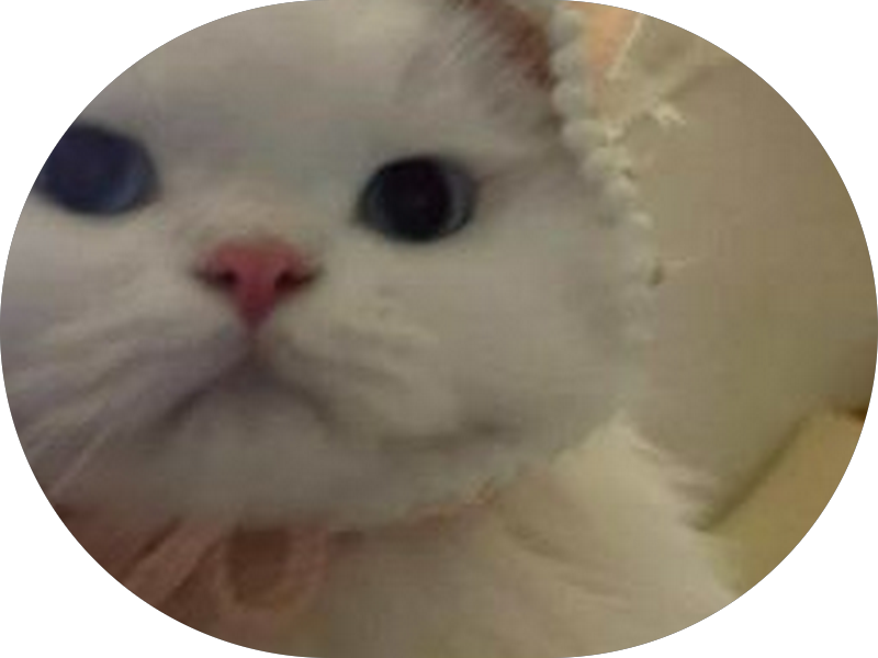 Foto 3 de Dentista (Juazeiro do Norte ce) Dr. Charles Gomes