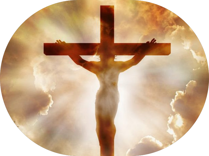 Foto 3 de Dentista Júlio César Mendes