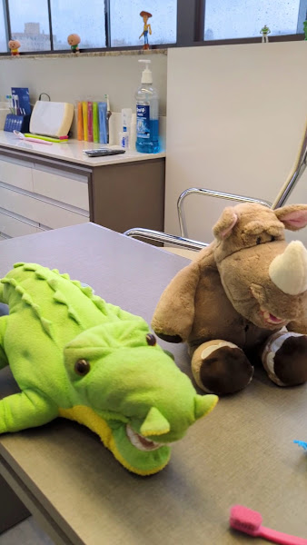 Foto 4 de Dentista Legal