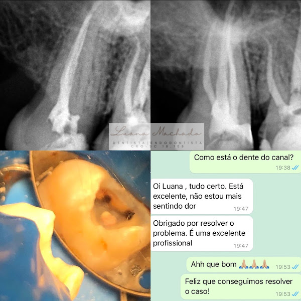 Foto 3 de Dentista - Luana Machado