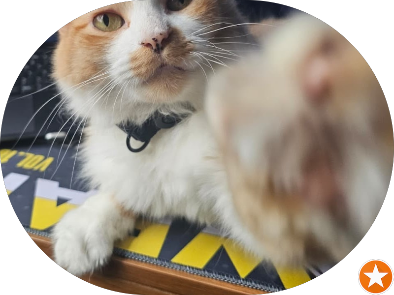 Foto 2 de Dentista Madureira