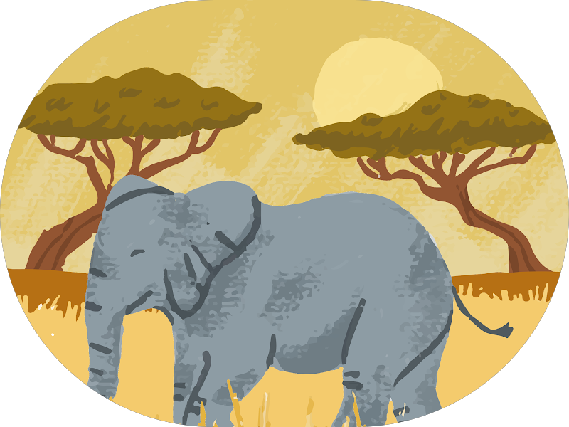 Foto 7 de Dentista Manaus - Dra Irla Thaís - Prótese Dentária