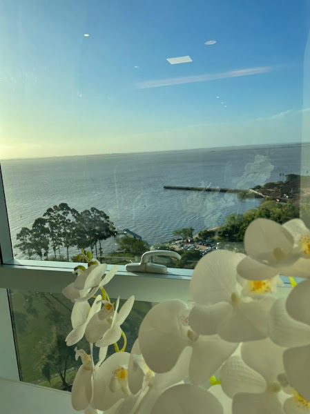 Foto 3 de Dentista Natalí Magagnin