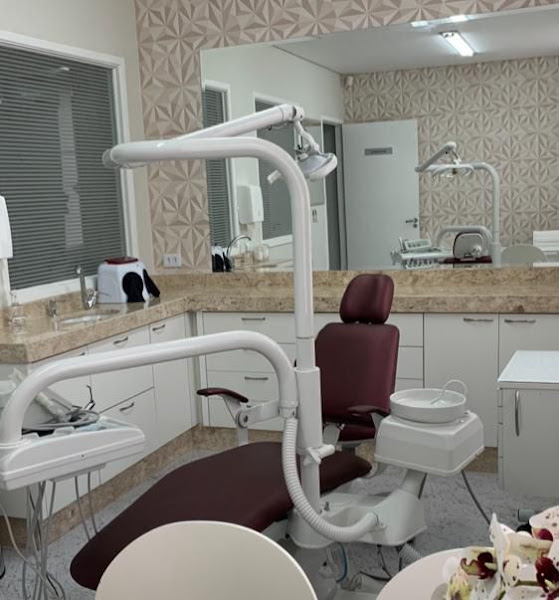 Foto 2 de Dentista | Odontologia | Dra. Isabella Lippmann
