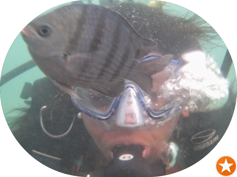 Foto 4 de Dentista Tânia Rocha | Endodontia em Natal, RN