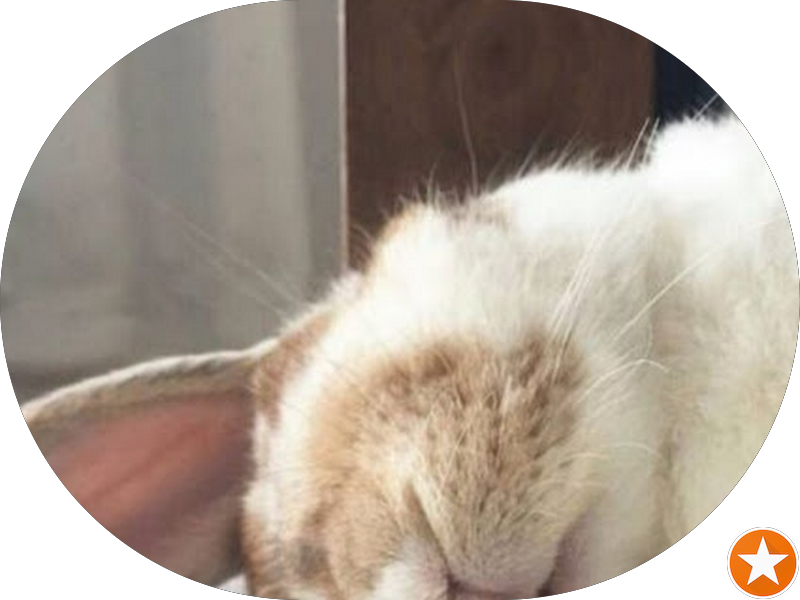 Foto 5 de Dentista Taquara - Dra. Karen Nunes, Endodontista. Atendimento Humanizado e Especializado em Todas as Áreas da Odontologia.