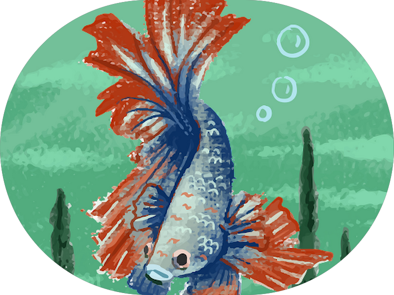 Foto 4 de Dentistas casa verde