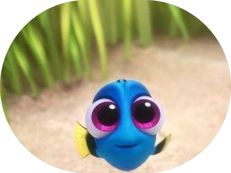 Foto 7 de Dentistas da Familia