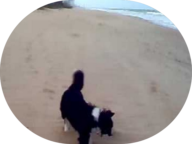 Foto 3 de Dentistas - Oral Clin Odontologia