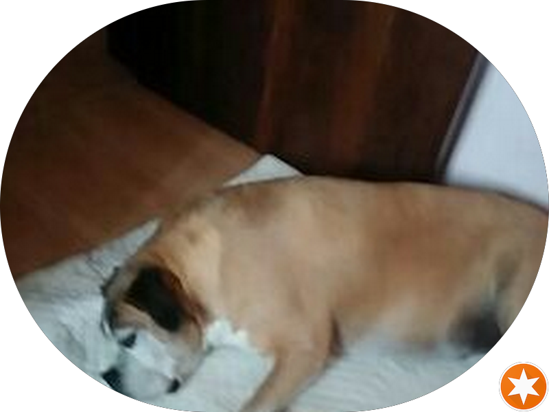 Foto 3 de Dermatologia - Dra. Ewalda V. R. Stahlke