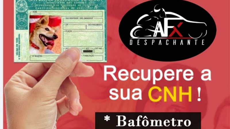 Foto 2 de DESPACHANTE AFX