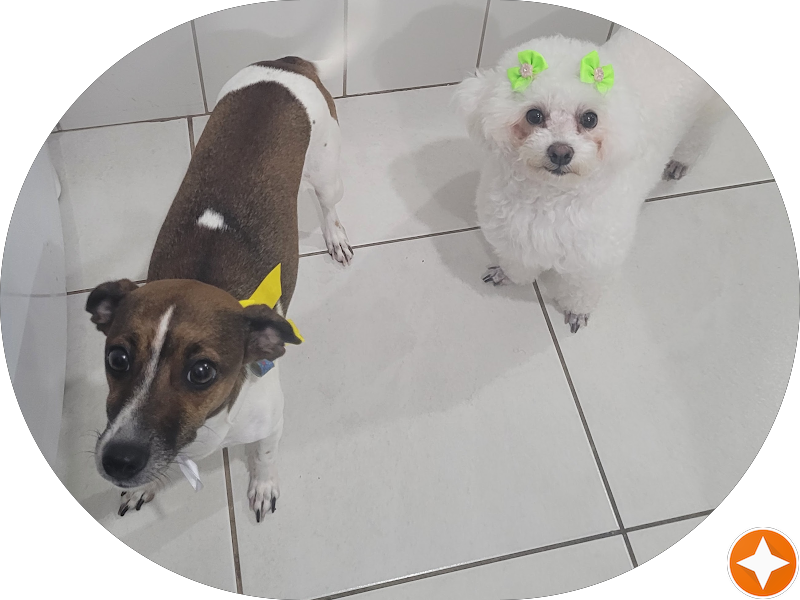 Foto 4 de Df implantes