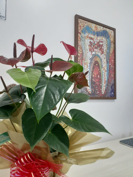 Foto 3 de Diego Melo Detoni • Especialista em endodontia