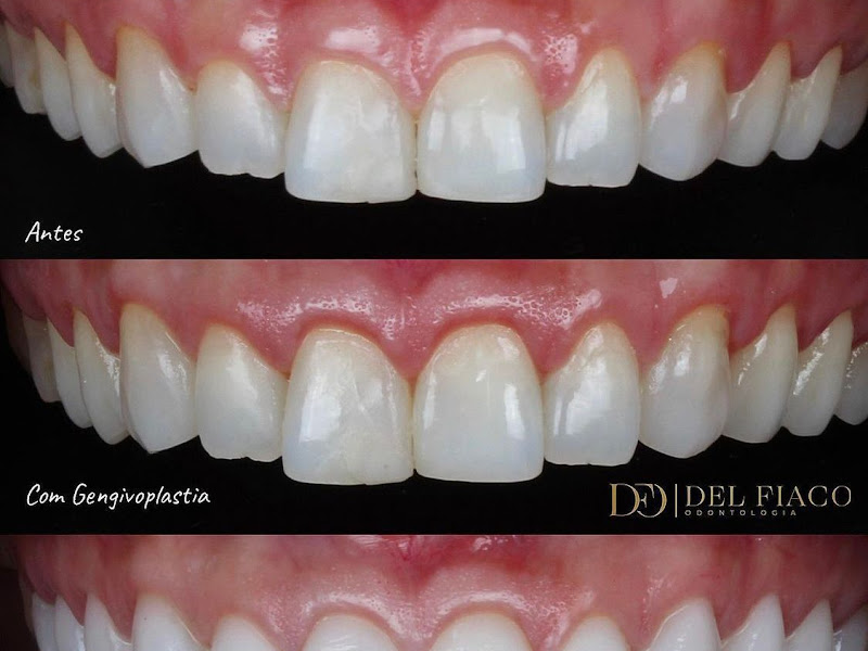 Foto 2 de Dildazio P Carvalho