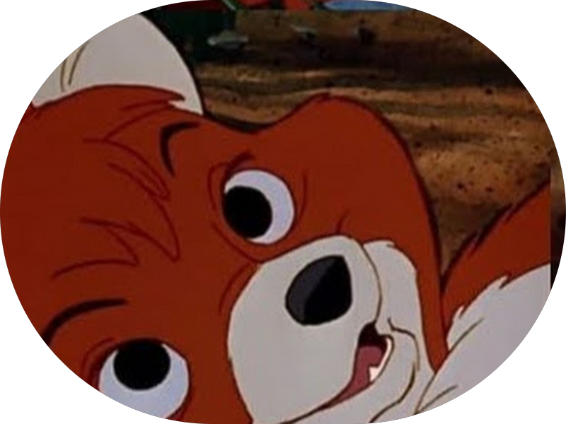 Foto 6 de DISTRIBUINDO SORRISO CLÍNICA ODONTOLÓGICA Amil Bradesco Odontoprev