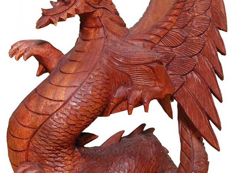 Foto 3 de DK Equilíbrio - Acupuntura e Quiropraxia