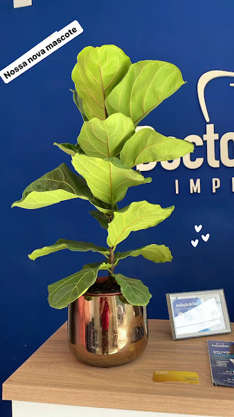 Foto 3 de Doctor Dente Guarulhos