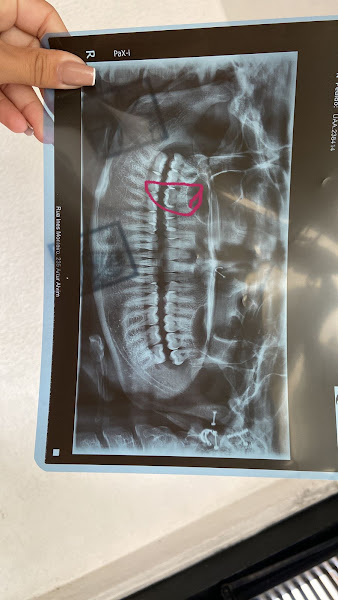 Foto 3 de Dodoclin Dentista