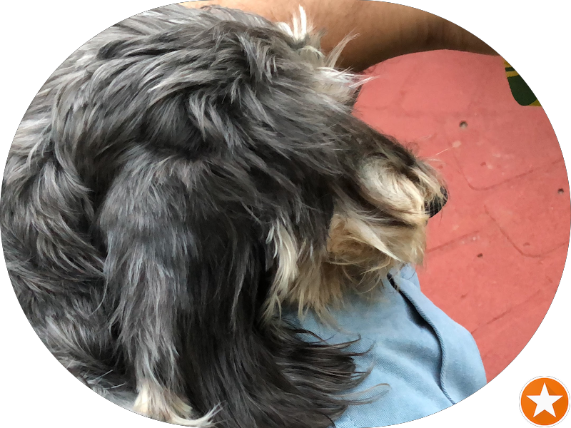 Foto 3 de Dorsa Odontologia Estética