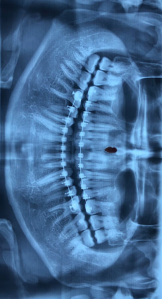 Foto 3 de Doutores Amigos Odontologia II