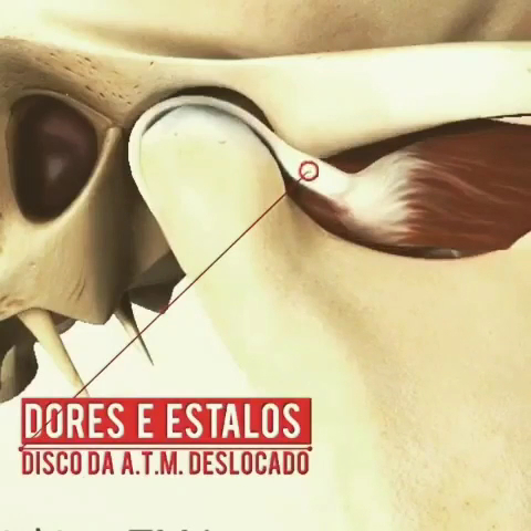 Foto 4 de Dr. ADILSON CHAVES & Dra. ELDA RIBEIRO